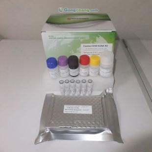 供應(yīng)人長效甲狀腺刺激素(LATS)ELISA試劑盒 助力科研與精細(xì)化學(xué)品領(lǐng)域的非臨床研究