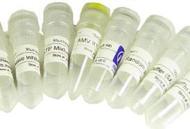 苊化學(xué)試劑的特性、應(yīng)用與安全操作指南